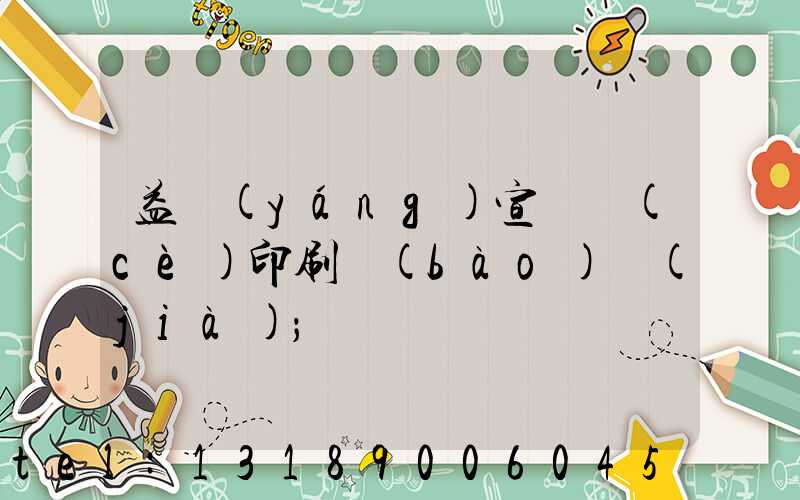 益陽(yáng)宣傳冊(cè)印刷報(bào)價(jià)